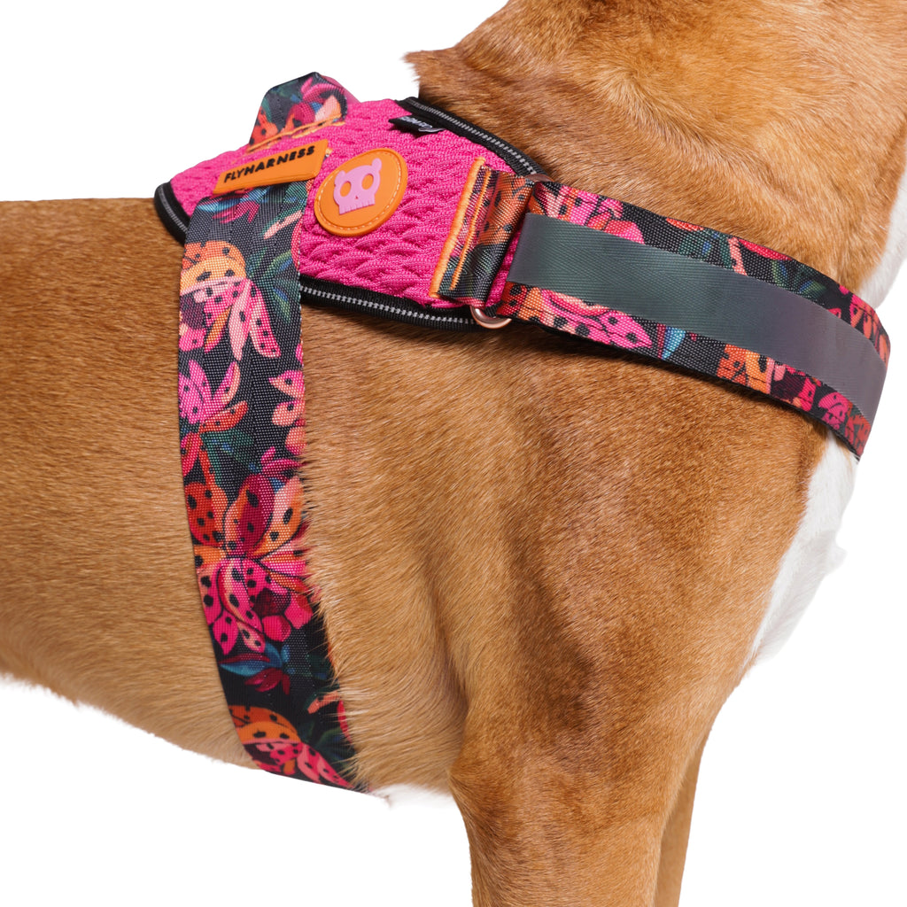 Pechera FlyHarness para Perros FARM Rio Selva