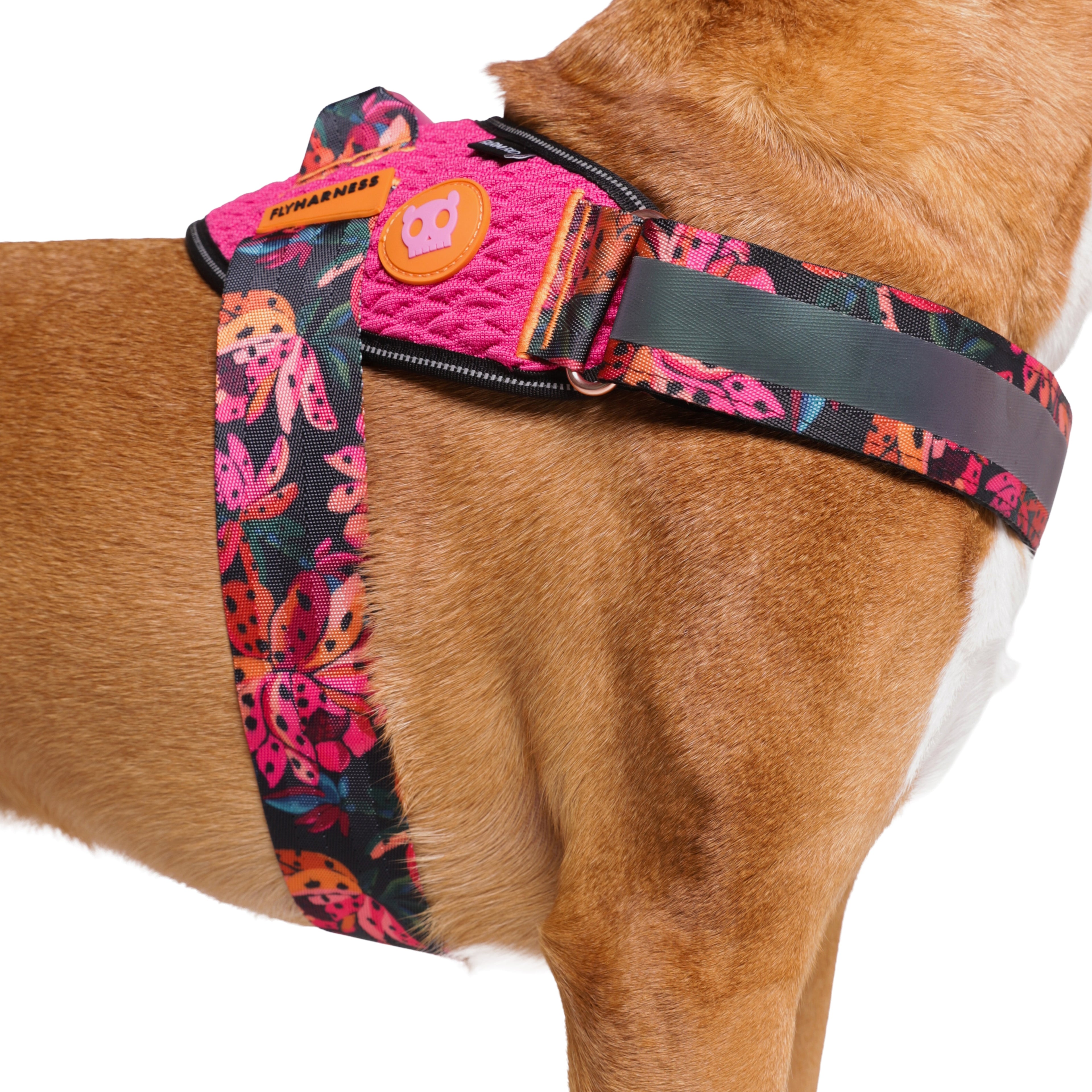 Pechera FlyHarness para Perros FARM Rio Selva