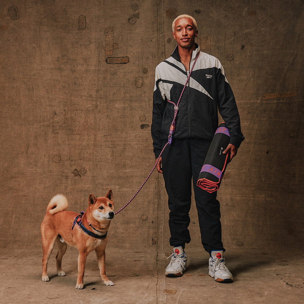 Correa Hands-Free para Perros Reebok Court