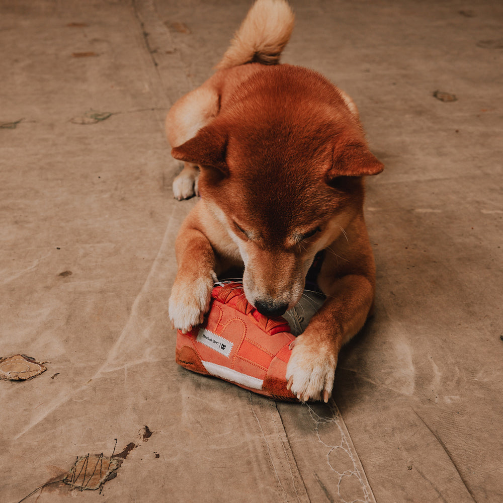 Juguete para Perros Reebok Suede Workout Plus Plush Sneaker