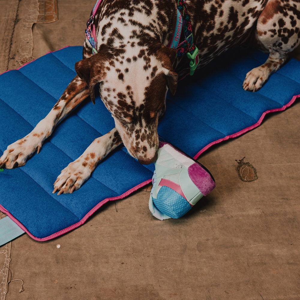 Juguete para Perros Reebok Aerobic Freestyle Plush Sneaker