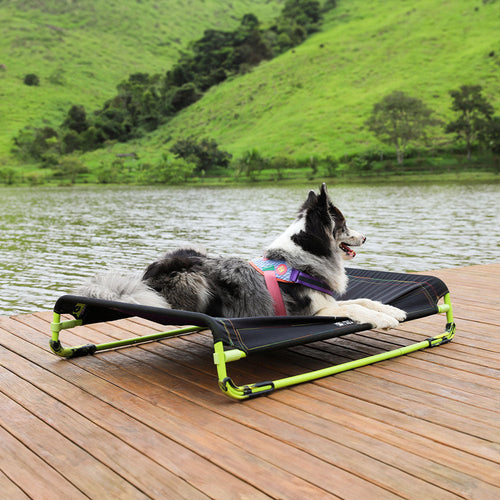 Cama para Perros Air.Bed Black