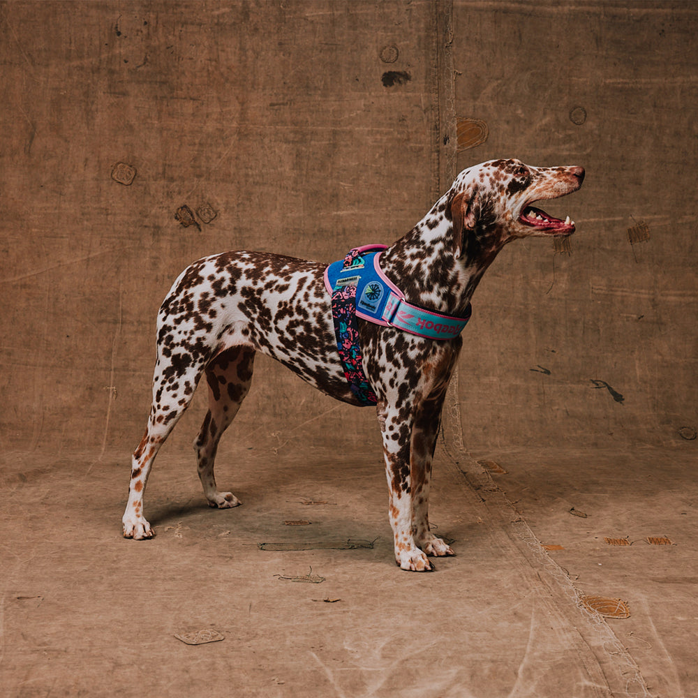 Pechera FlyHarness para Perros Reebok Aerobic