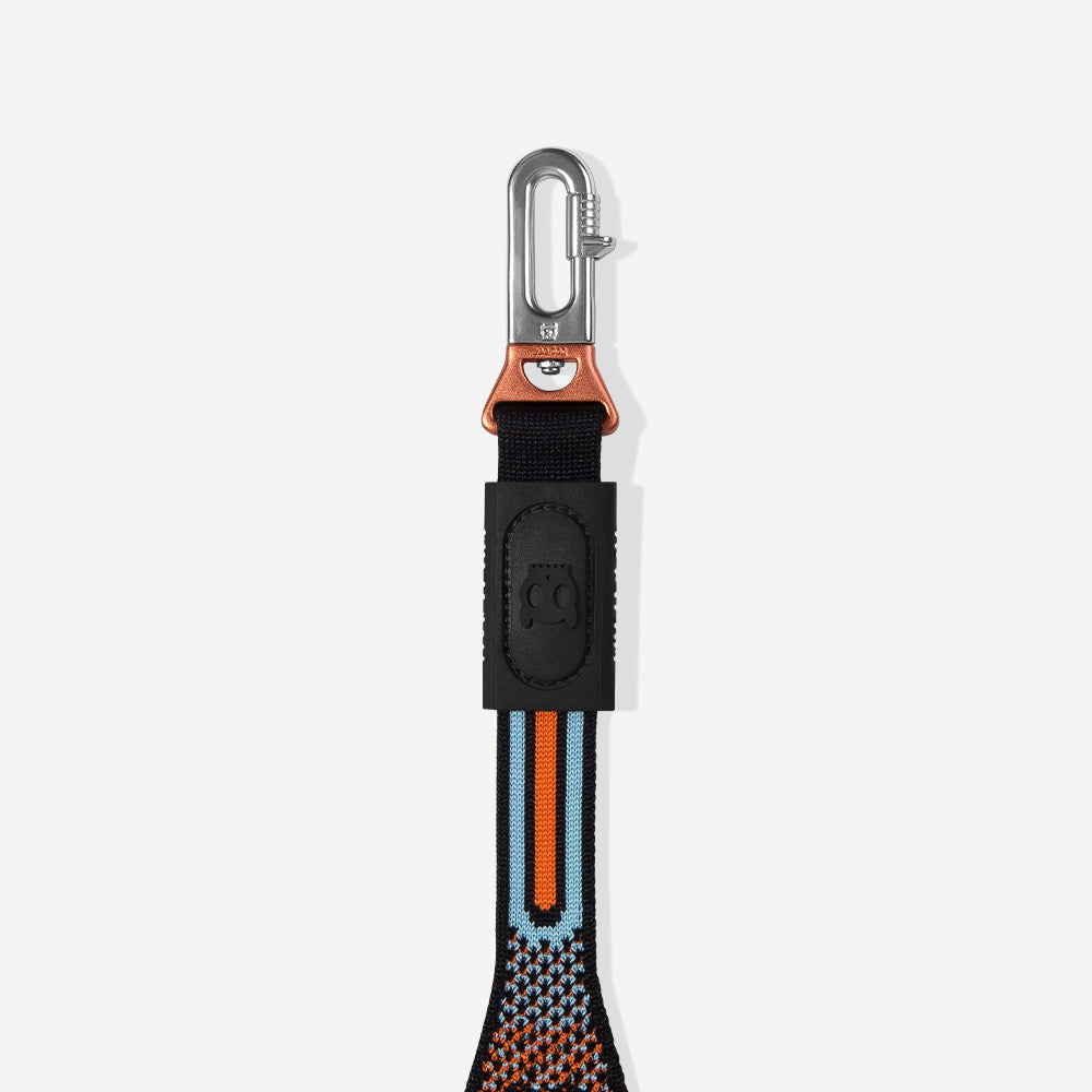 Correa NitLeash para Perros Chron