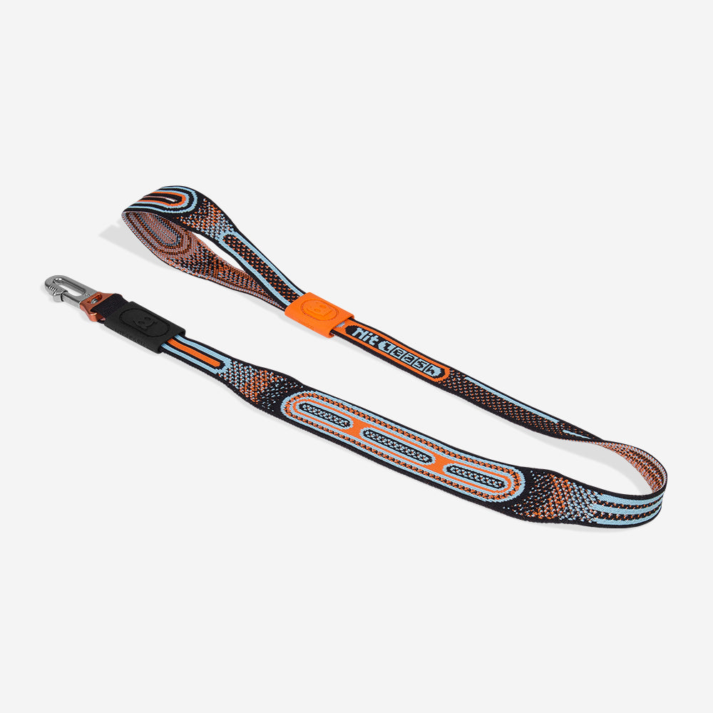 Correa NitLeash para Perros Chron