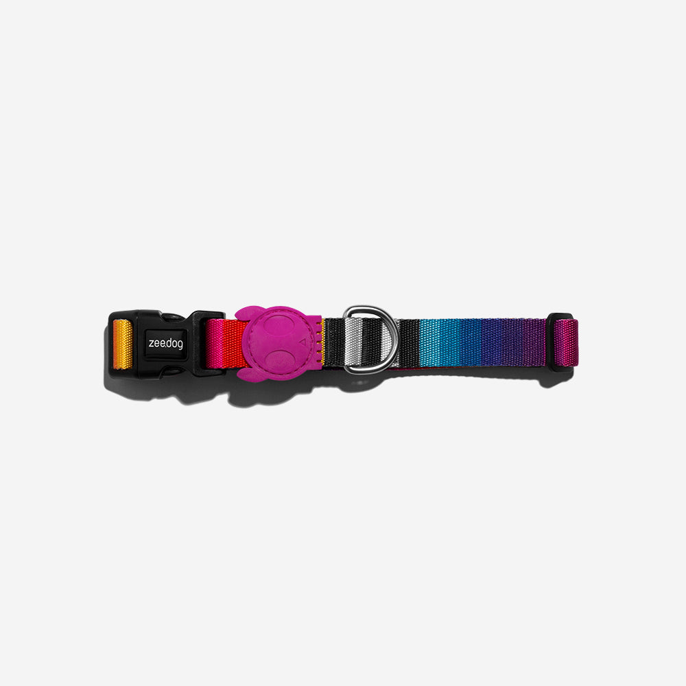 Collar para Perros Prisma