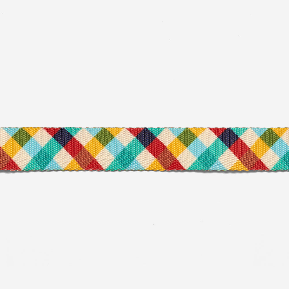 Collar para Perros Phantom