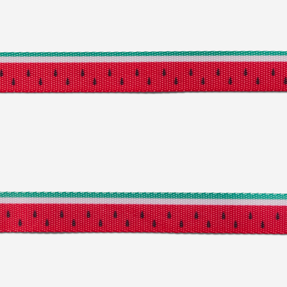 Collar para Gatos Lola
