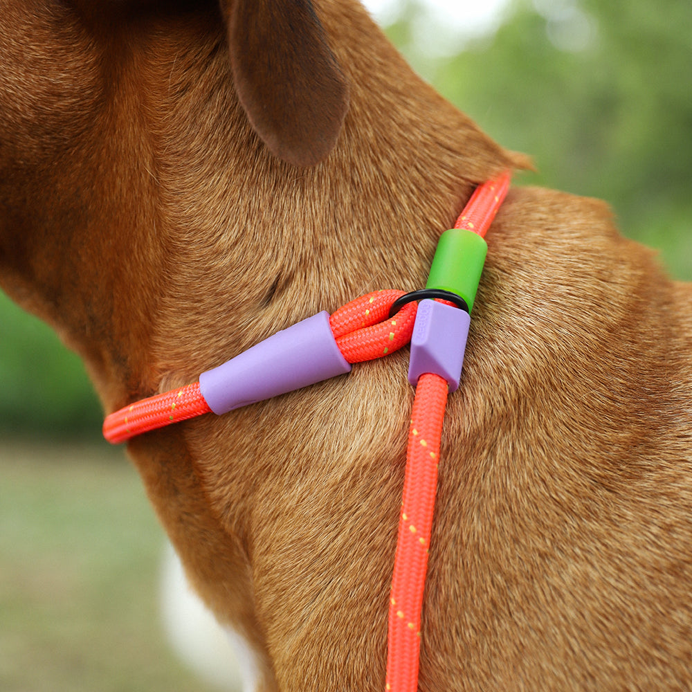 Correa de Cuerda Slip-N-Lock para Perros Everest