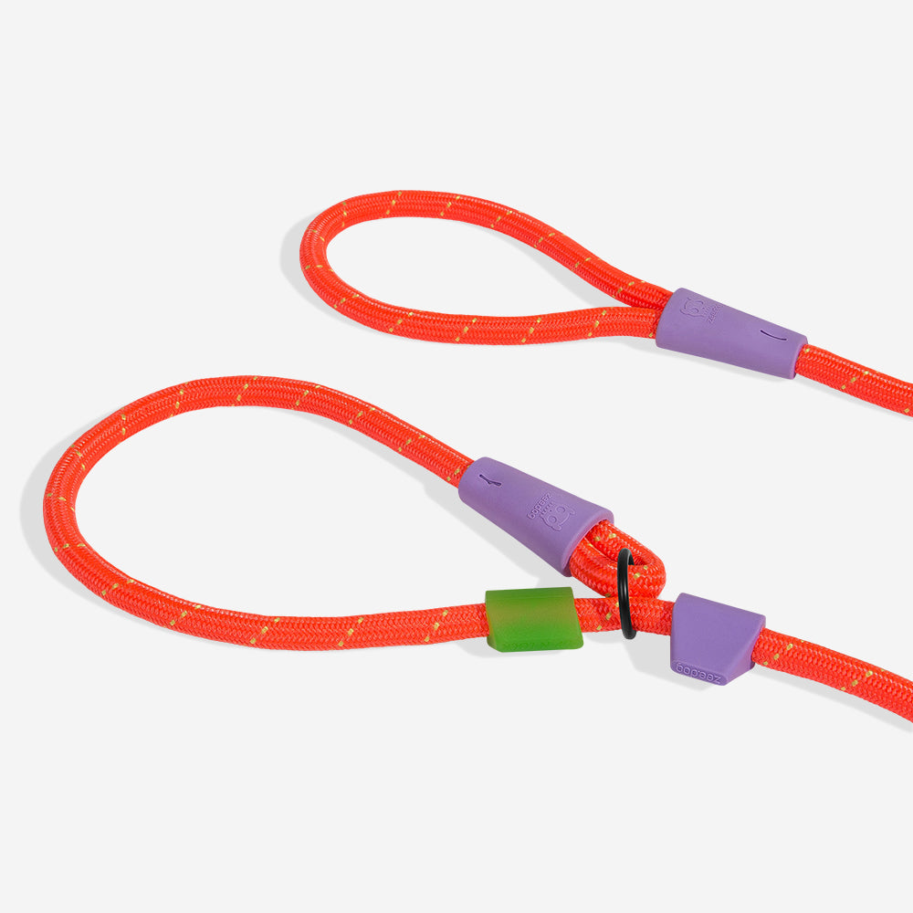 Correa de Cuerda Slip-N-Lock para Perros Everest
