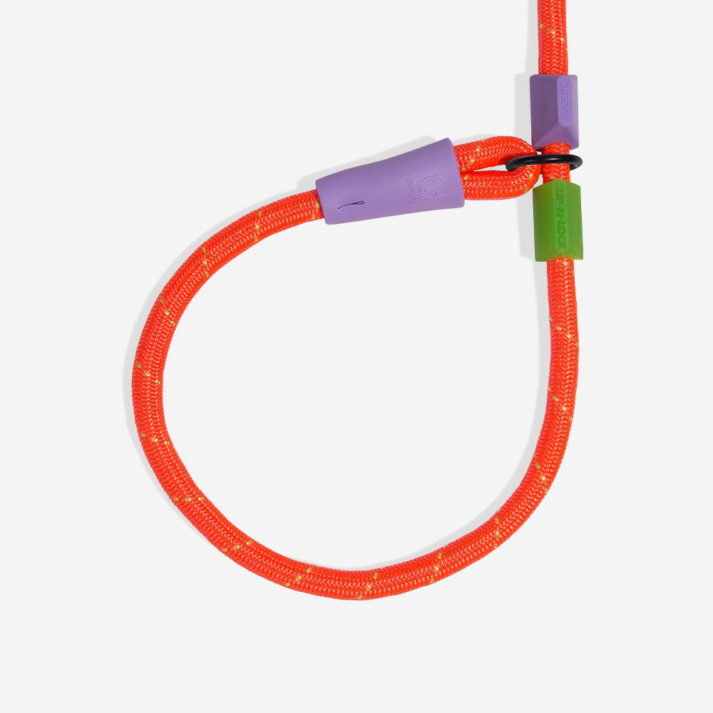 Correa de Cuerda Slip-N-Lock para Perros Everest