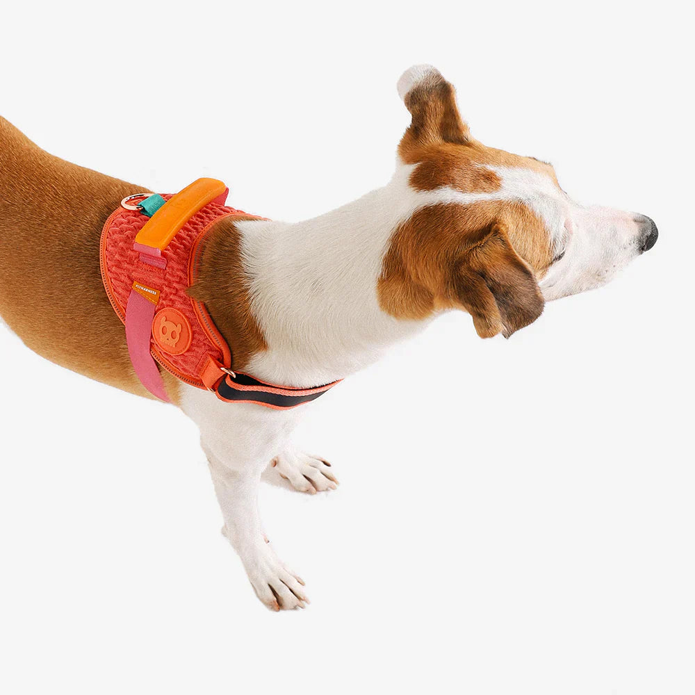 Pechera FlyHarness para Perros Gazelle