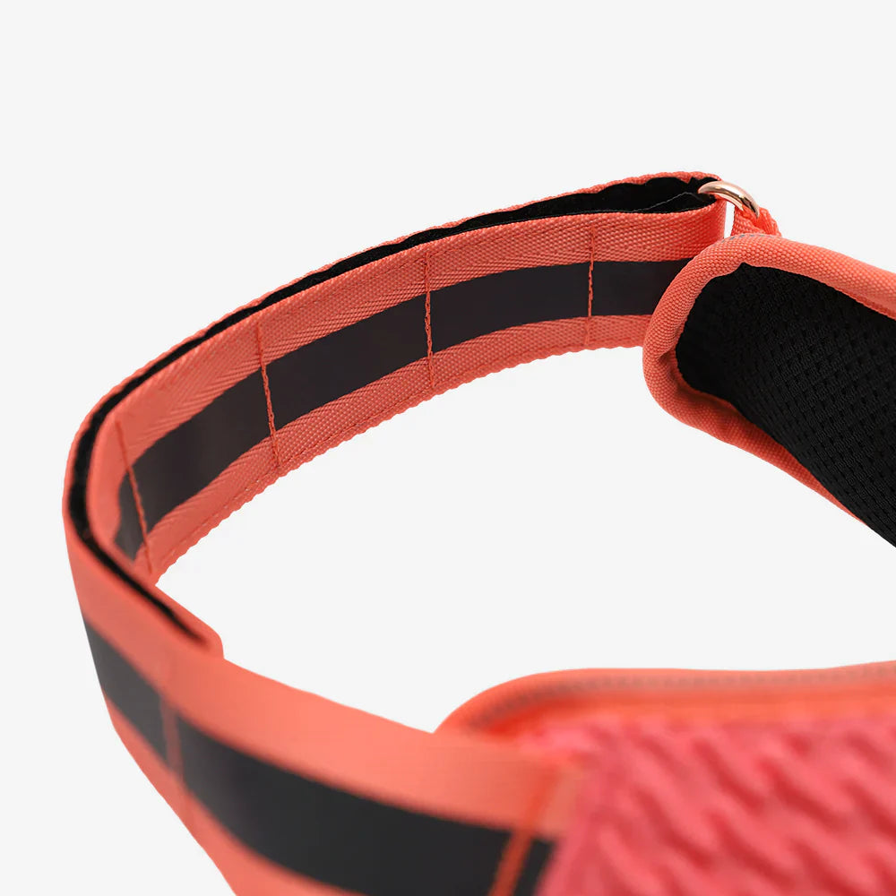 Pechera FlyHarness para Perros Gazelle