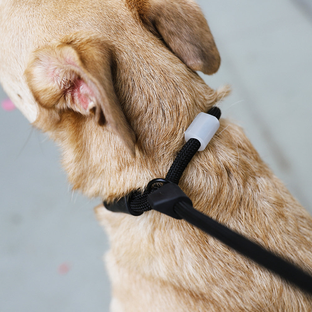 Correa de Cuerda Slip-N-Lock para Perros Gotham