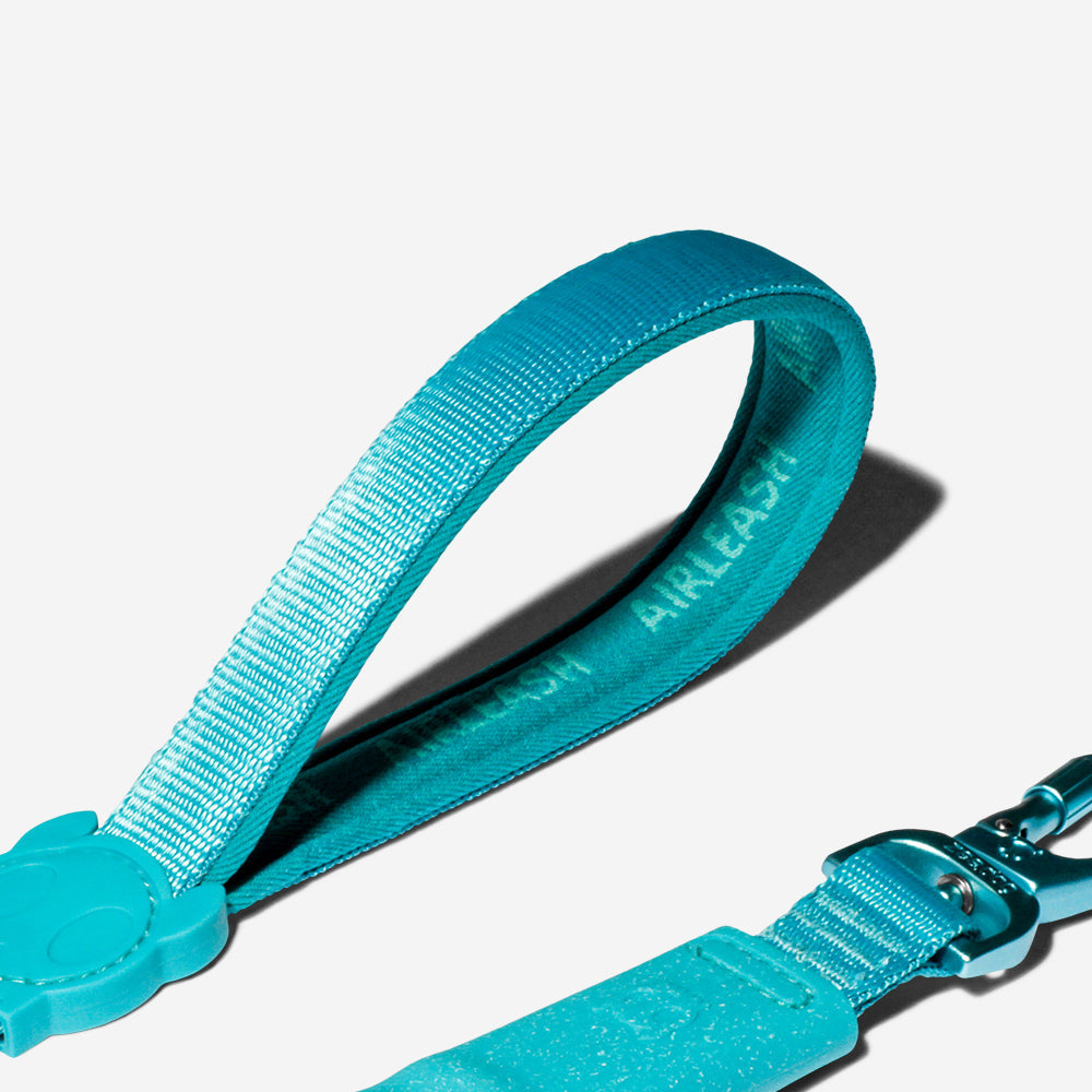 Correa Amortiguada Airleash para Perros Blue