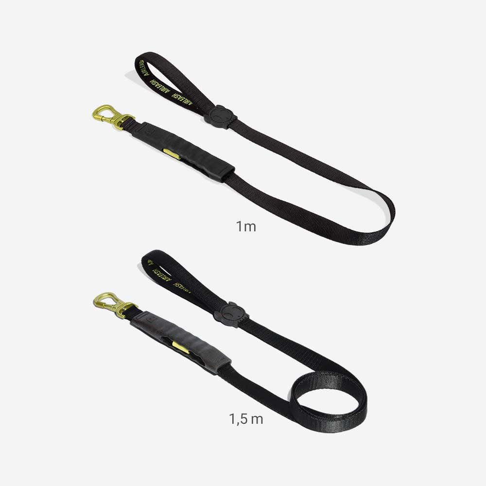 Correa Amortiguada Airleash para Perros Neon