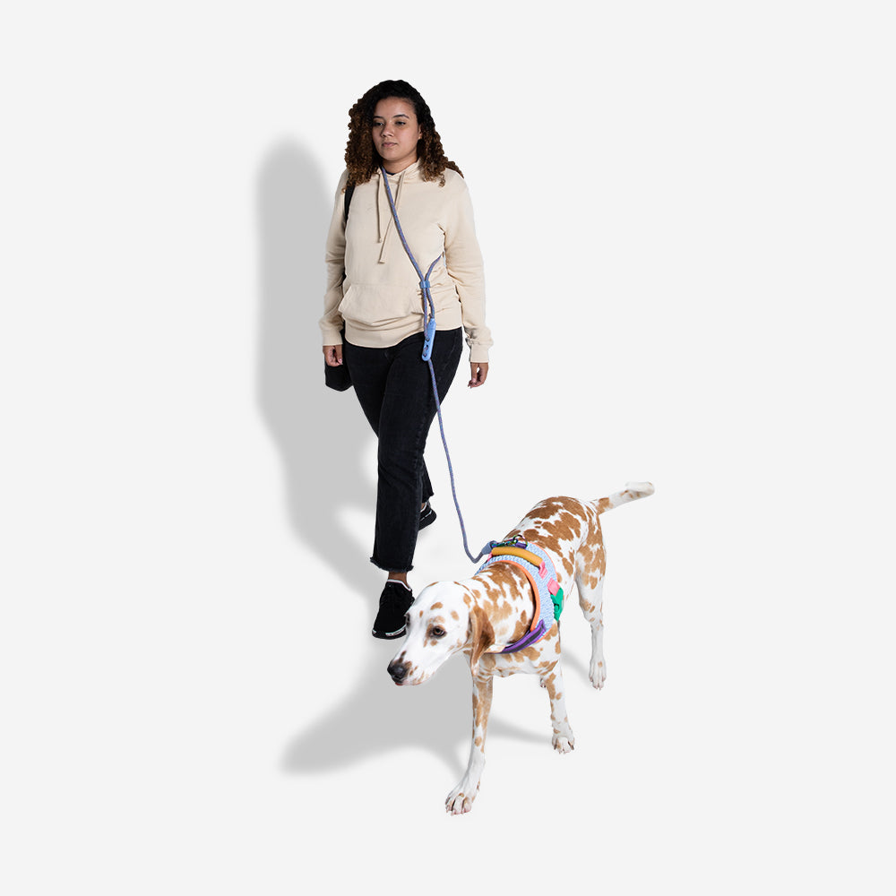 Correa Hands-Free para Perros Andromeda