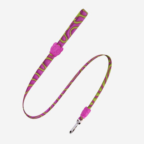Correa para Perros H3D Jelly