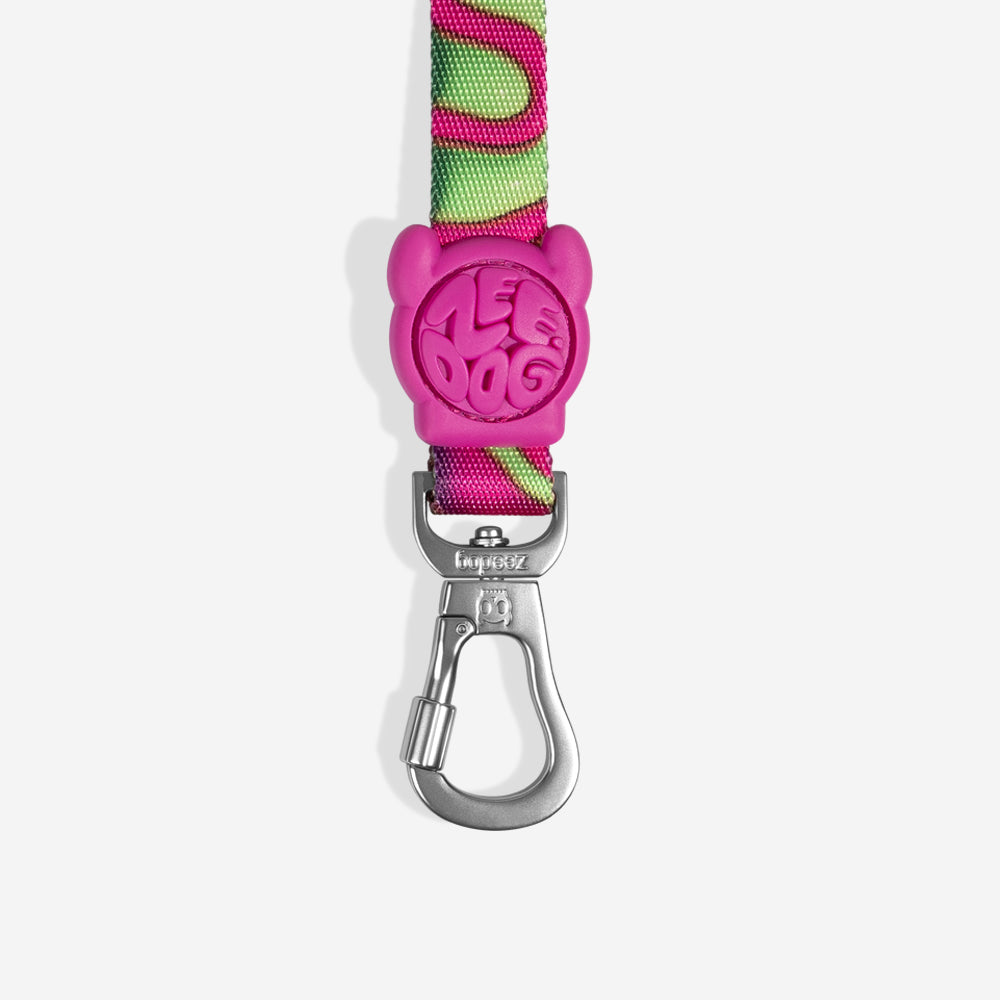 Correa para Perros H3D Jelly