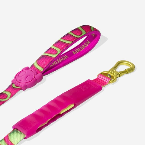 H3D JELLY AIR LEASH 1 METER