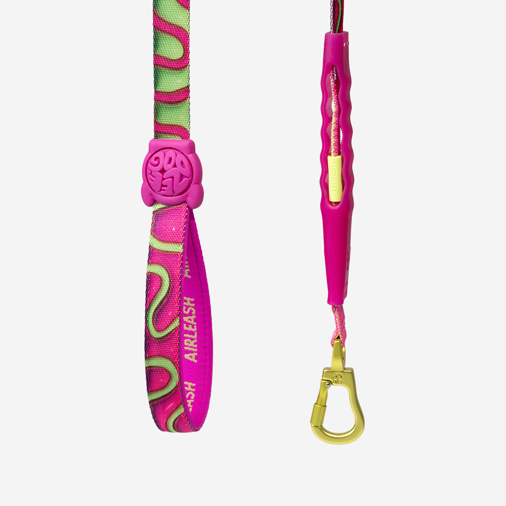 Correa Amortiguada Airleash para Perros H3D Jelly