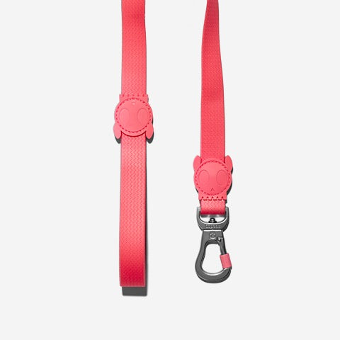 Correa para Perros Neopro Bubblegum
