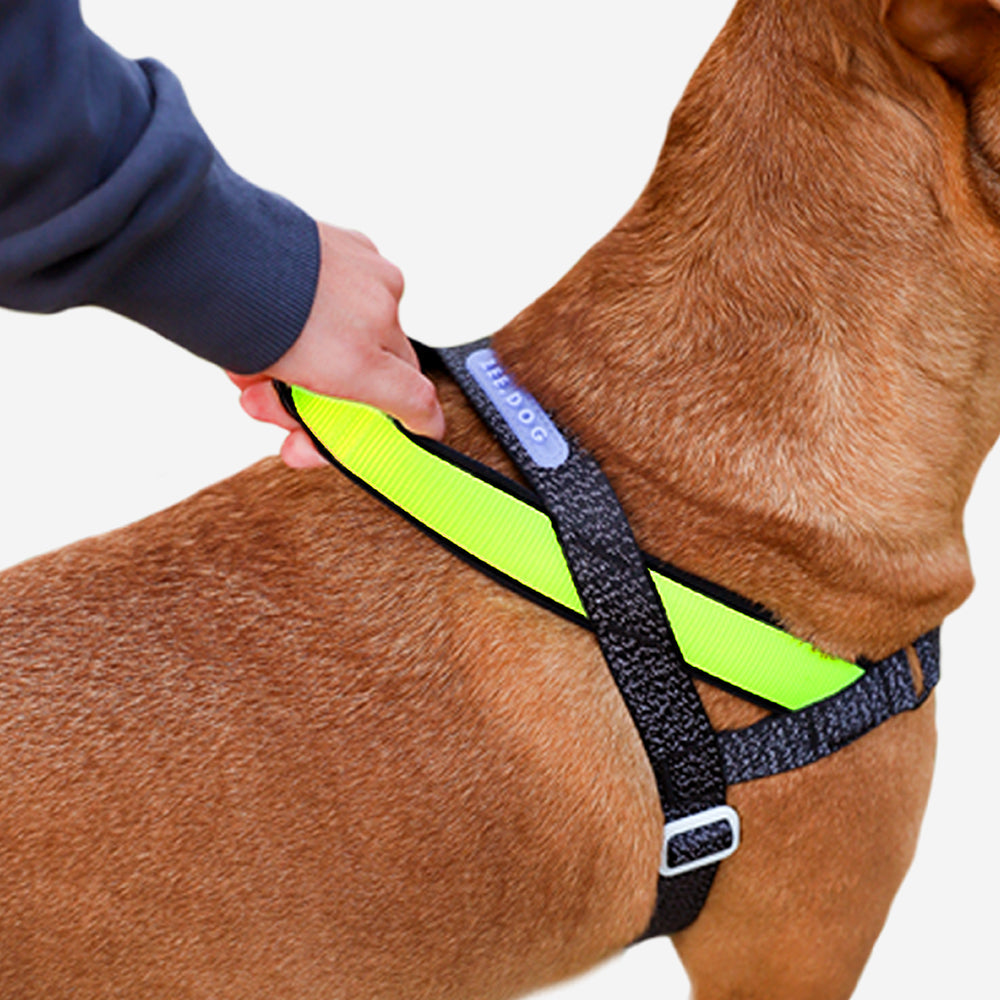 Arnés SofterWalk para Perros Jaladores NOX