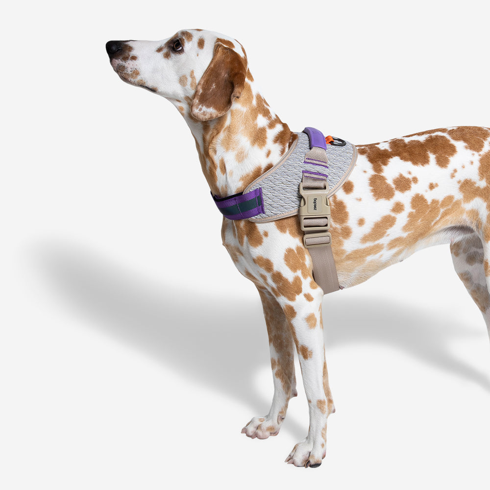 Pechera FlyHarness para Perros ACG