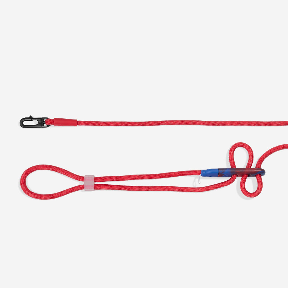 Correa Hands-Free para Perros Marvel Spider-Man