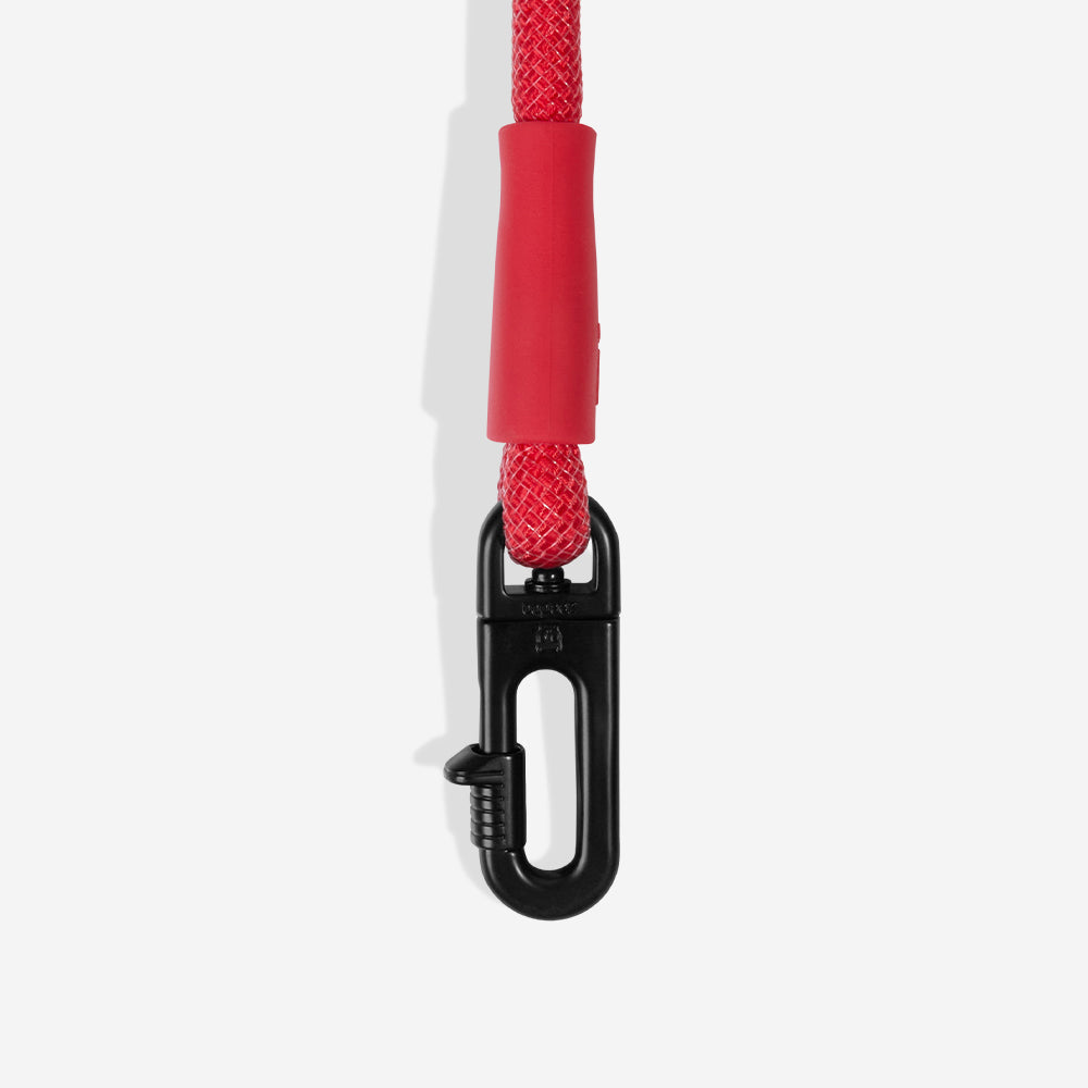 Correa Hands-Free para Perros Marvel Spider-Man