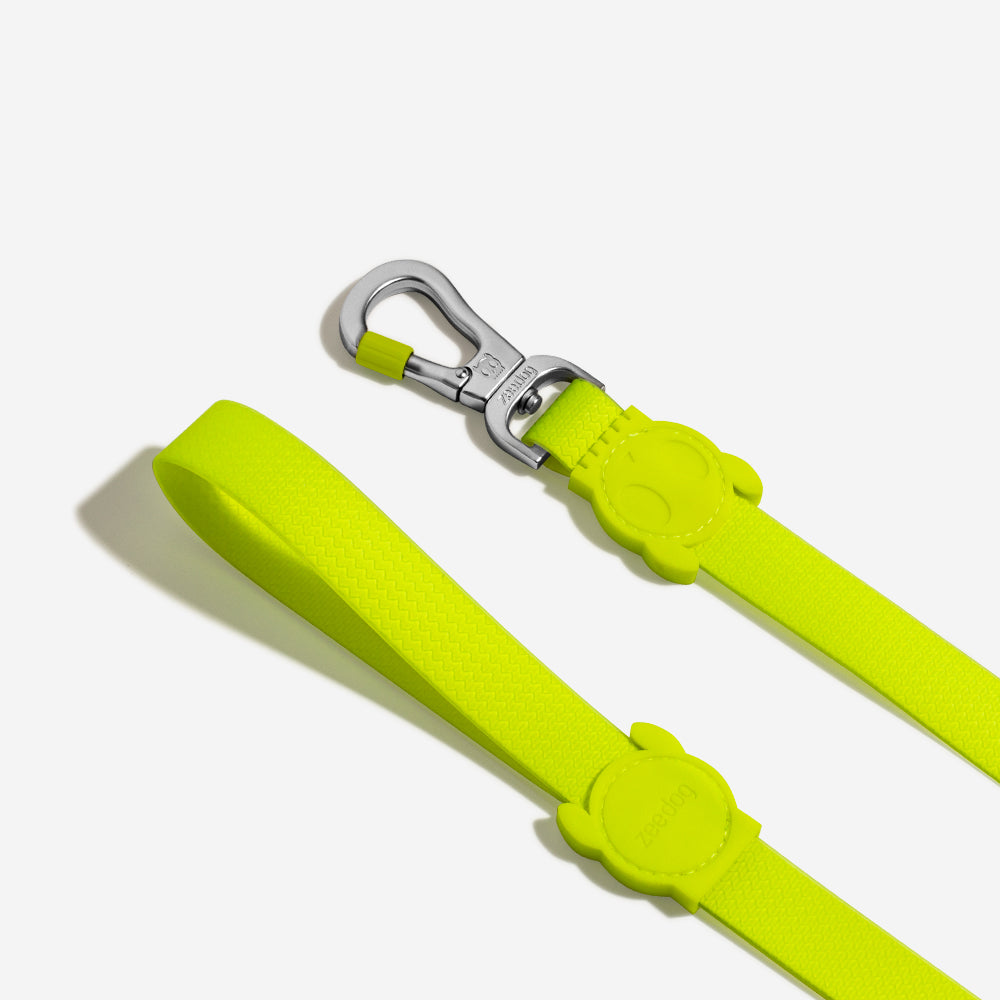 Correa para Perros Neopro Lime