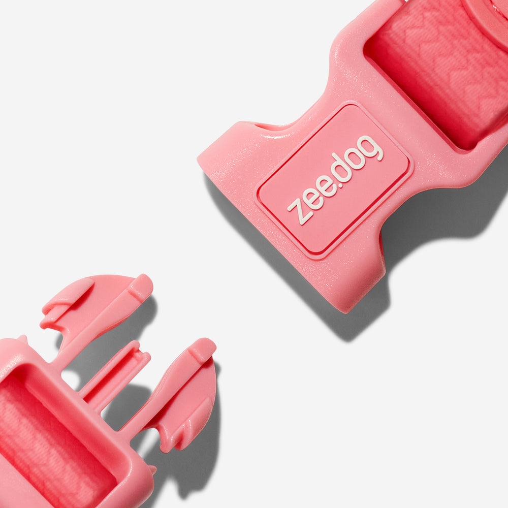 Collar para Perros Neopro Bubblegum